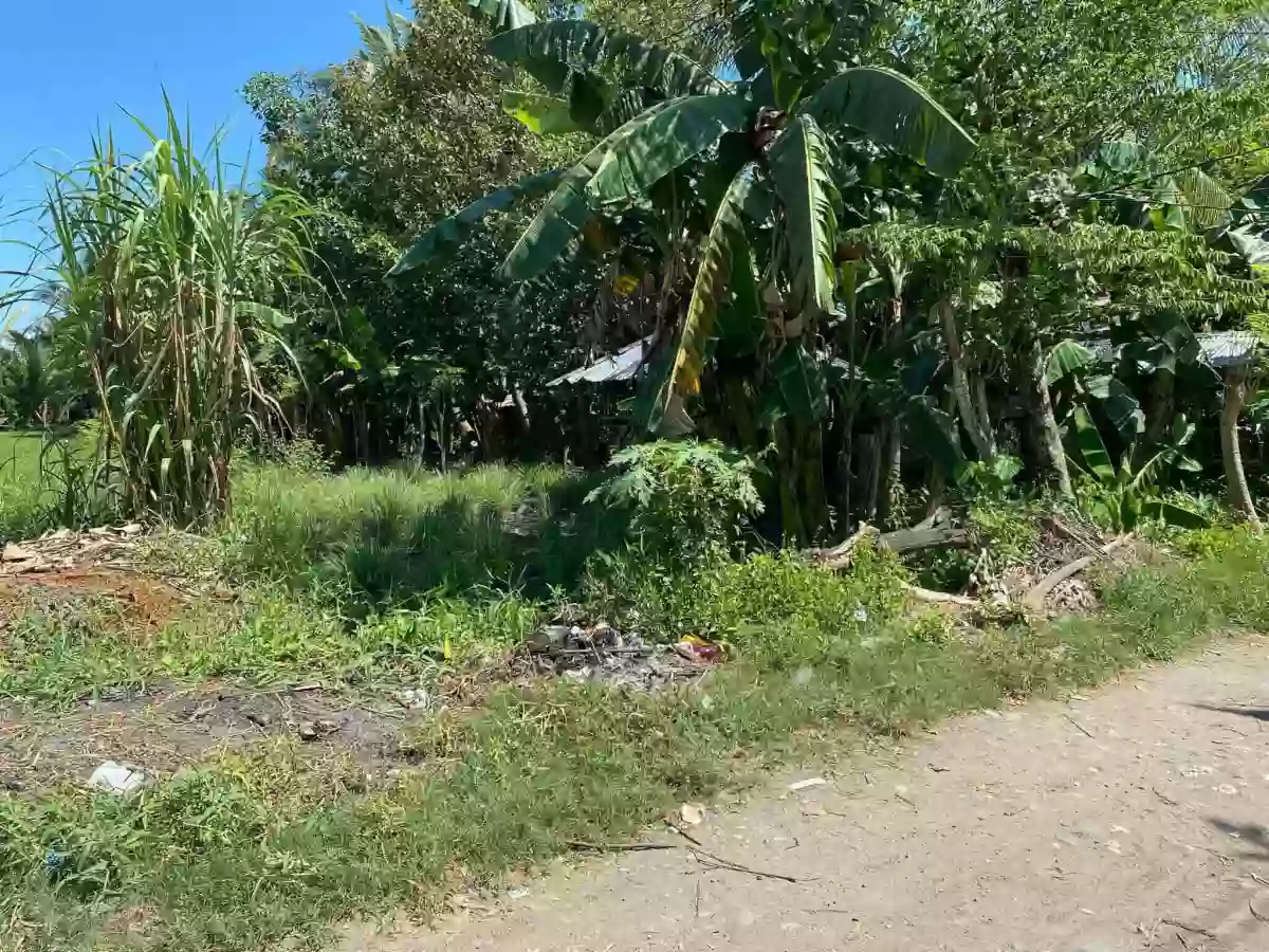 LOT FOR LEASE NEAR EMJAKE AND CAMELLA CERRITOS — Residential Lot in Lagao (1st & 3rd), Gen. Santos City, South Cotabato — Photo 4