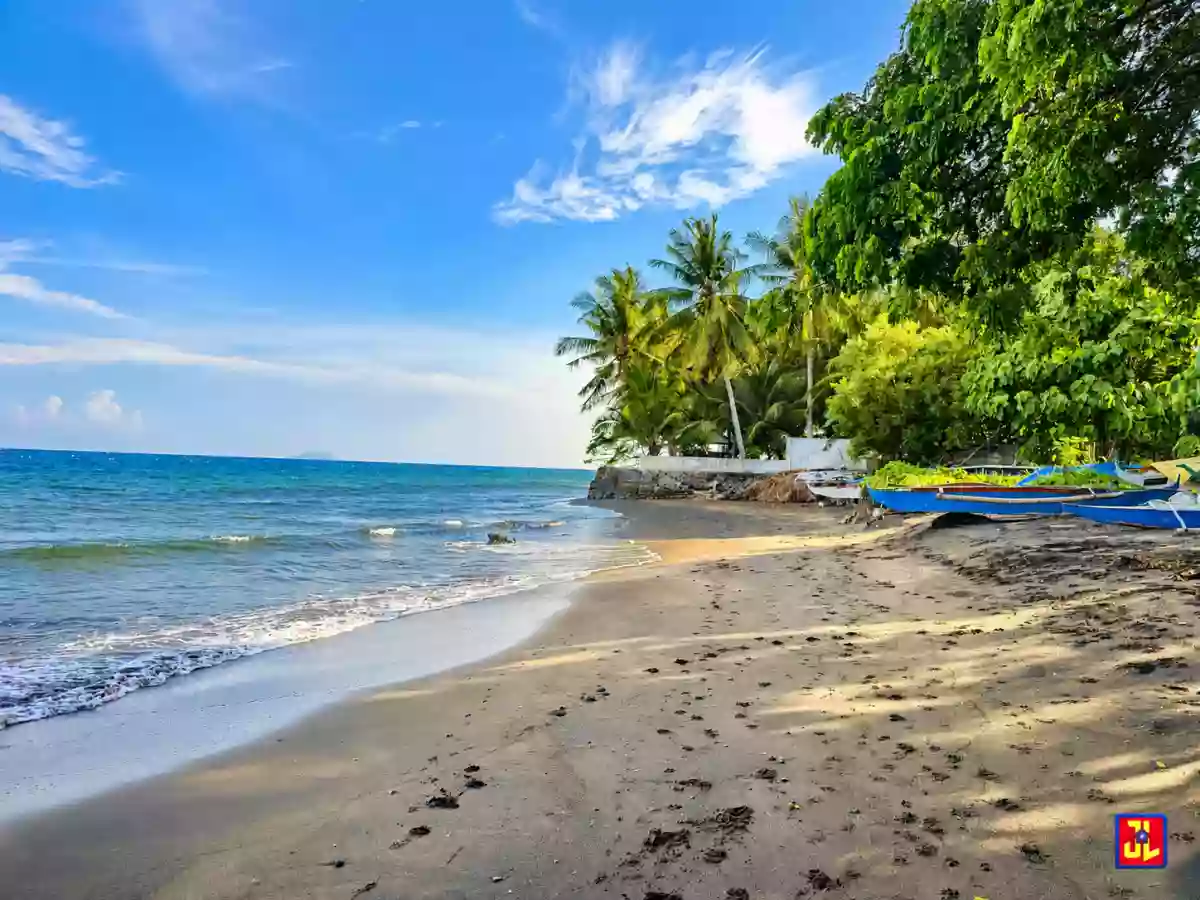 For Sale: Lots Near the Beach in Lipayo, Dauin, Negros Oriental [available] — Beach Lot in Dauin, Negros Oriental, 6217 — Photo 4