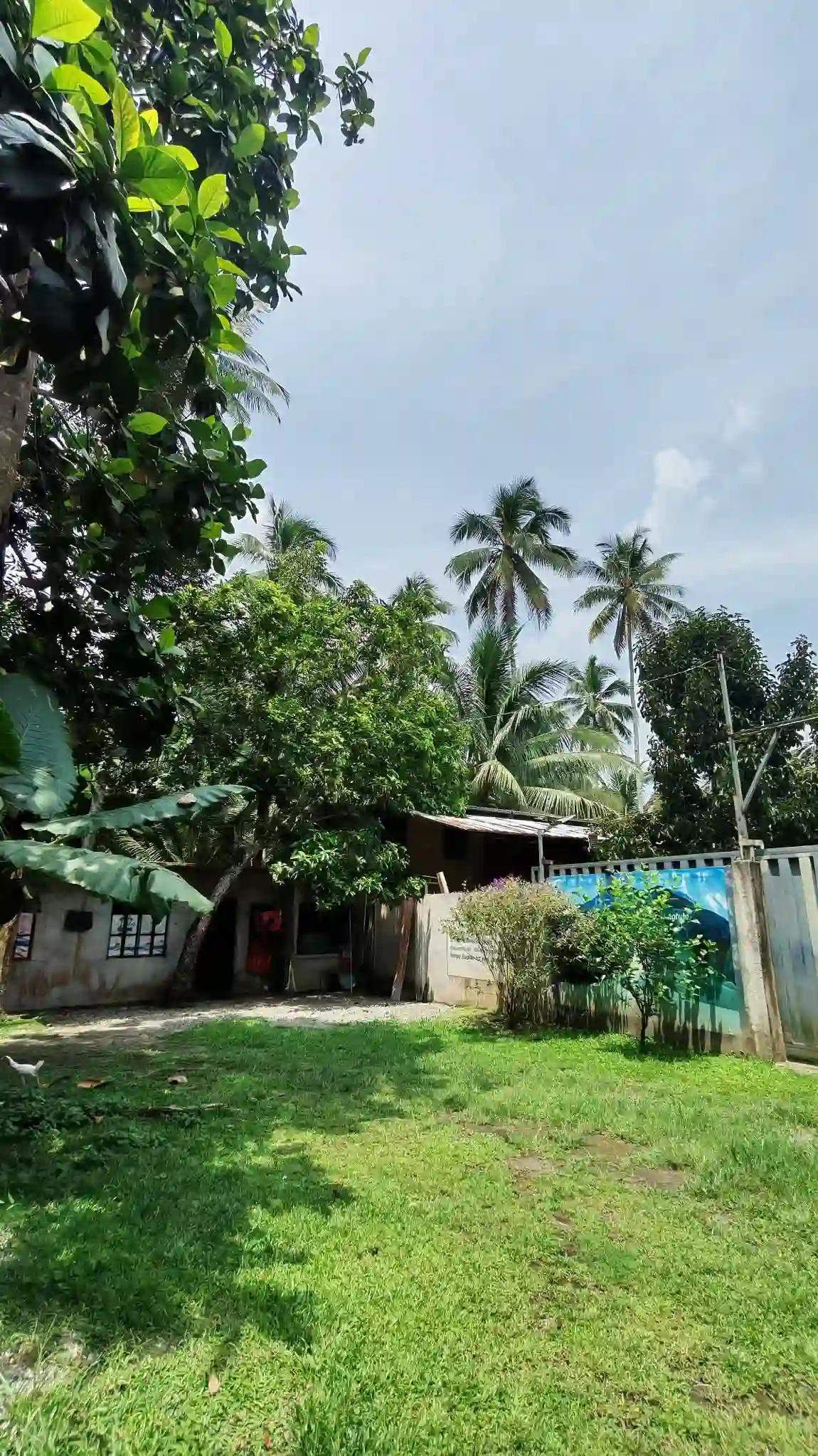 Open photo 14 of 25 — For Sale: Agricultural Lot in Polonuling, Tupi — 20000 sqm