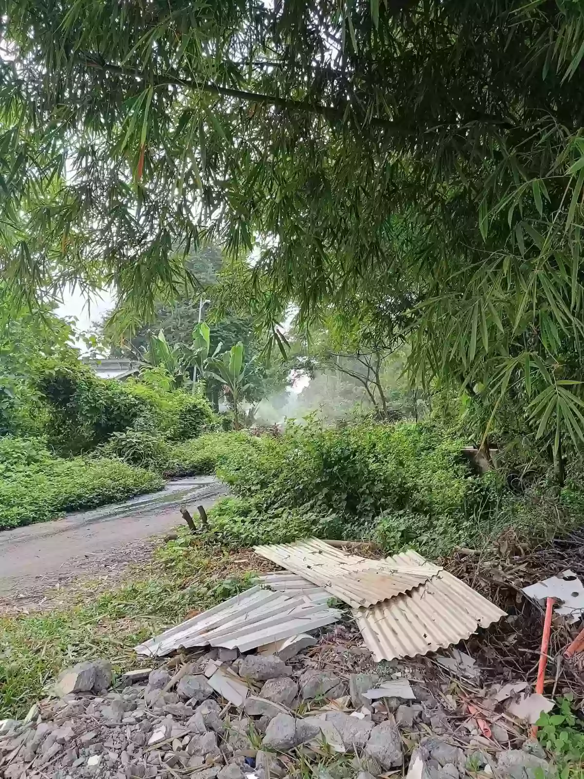 Lot For Sale - 15,399 SQM Investment Property Beside Apo Highlands Subdivision | Catalunan Grande, Davao City — Agricultural Lot in Catalunan Grande, Davao City, Davao del Sur — Photo 6