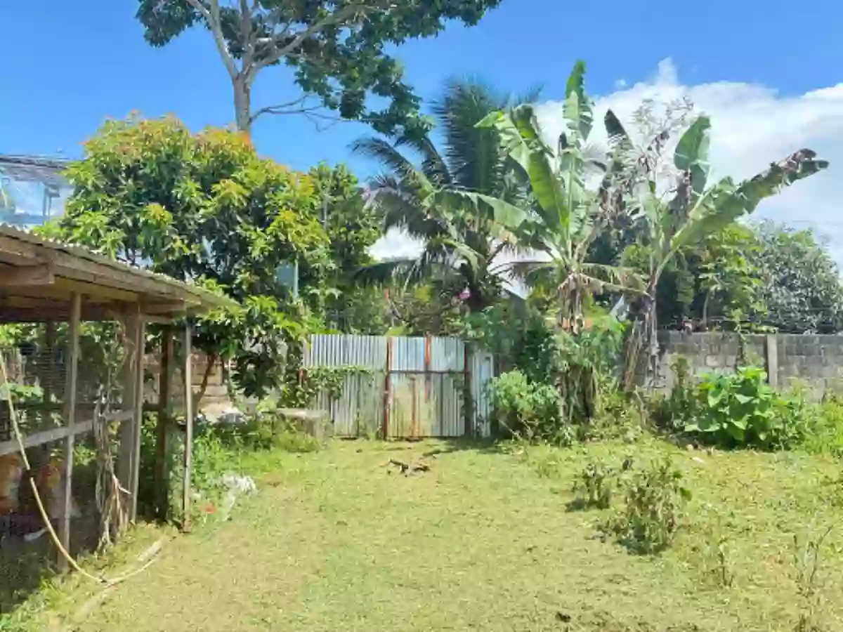 Residential Lot for Sale Near Malaybalay City Tree Park, Malaybalay — San Jose — Residential Lot in Malaybalay, Bukidnon, 8700 — Photo 6