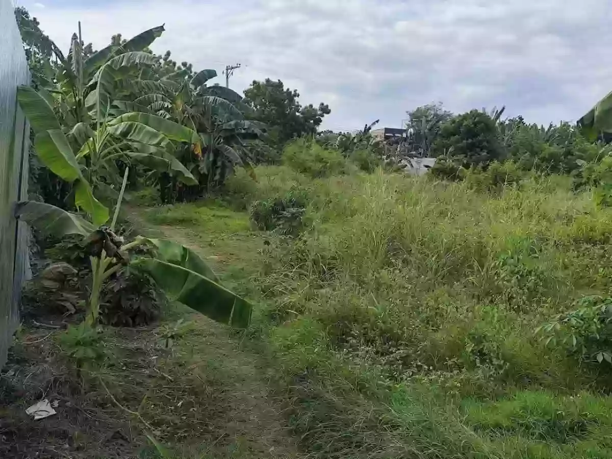 Open photo 13 of 18 — Lot for Sale near CCLEX Access Road