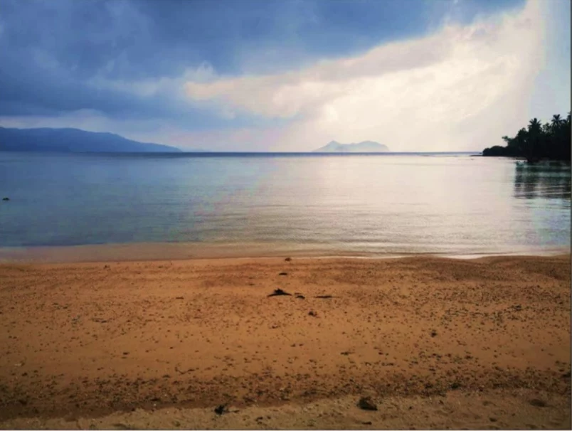 Beach Lot Property FOR SALE at PALAWAN 1.5 hectares Titled — Beach Lot in San Vicente, Palawan, 5309 — Photo 3