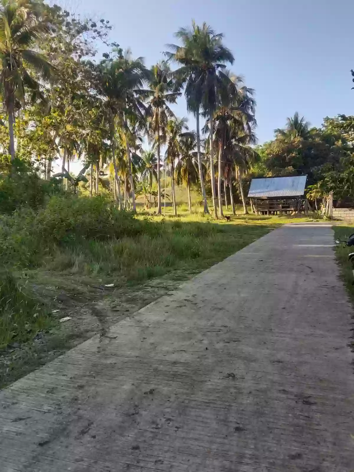 For sale: Residential lot in Montaña,Baclayon