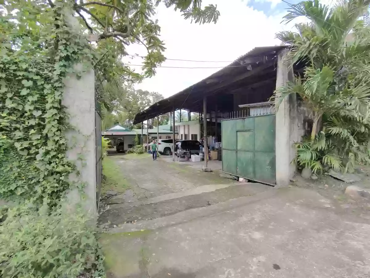 For Sale: 5BR House and Lot in Taculing, Bacolod City — 1000 sqm — House and Lot in Taculing, Bacolod City, Negros Occidental — Photo 3