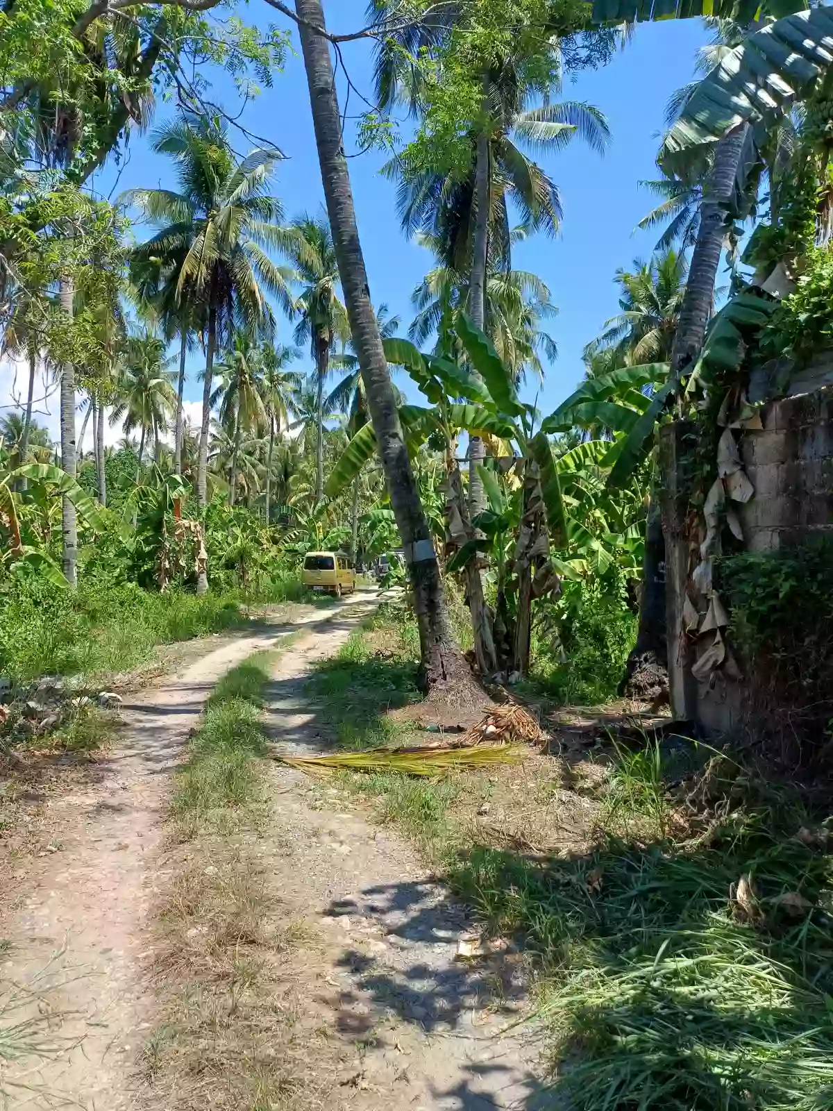 Residential Lot at Zone 1 Opol. — Residential Lot in Igpit, Opol, Misamis Oriental — Photo 2