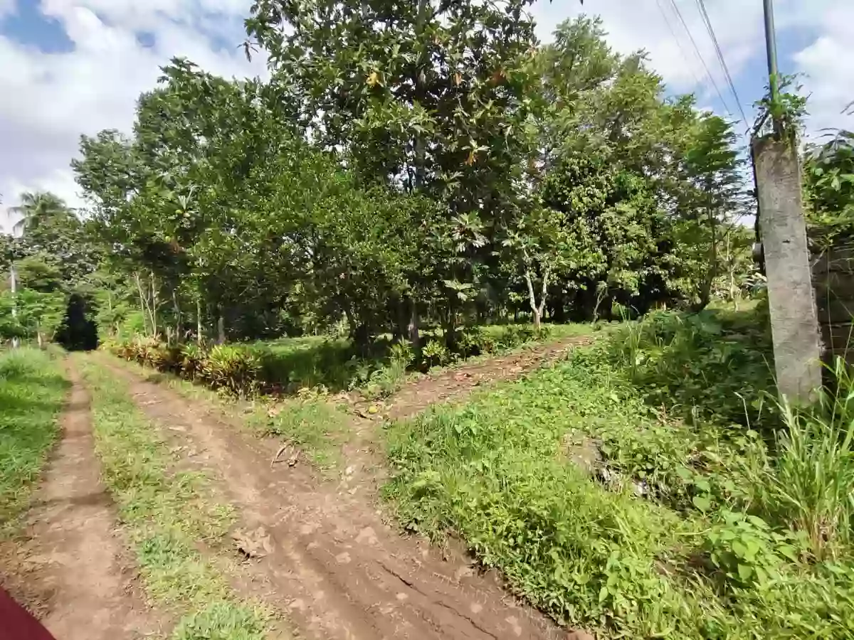 Open photo 12 of 18 — For Sale: Calinan (Pob.) Residential Lot in Davao City — Near School