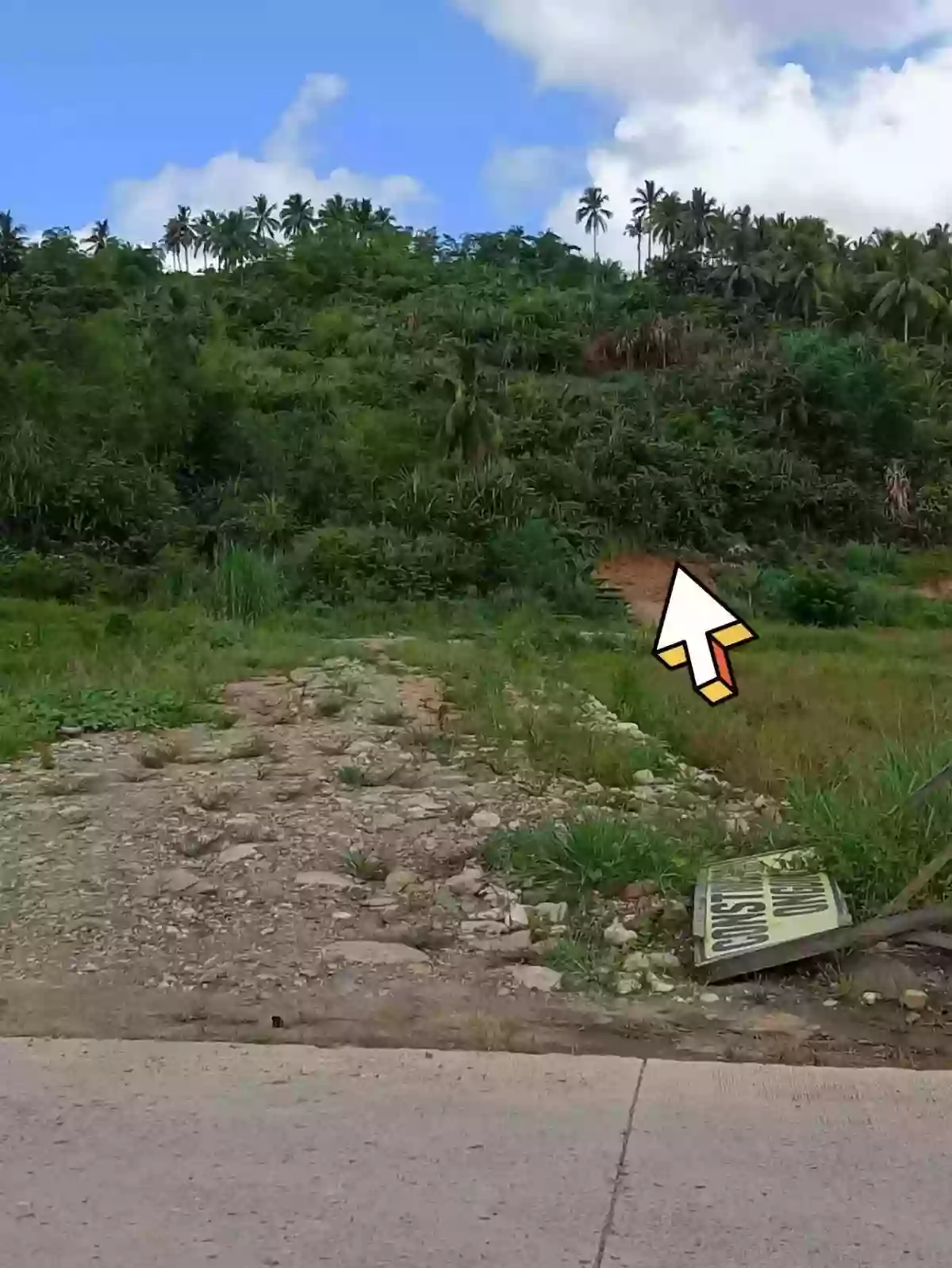 For Sale: Agricultural Lot in Serna, Surigao City — 12748 sqm — Agricultural Lot in Surigao City, Surigao del Norte, 8400 — Photo 4
