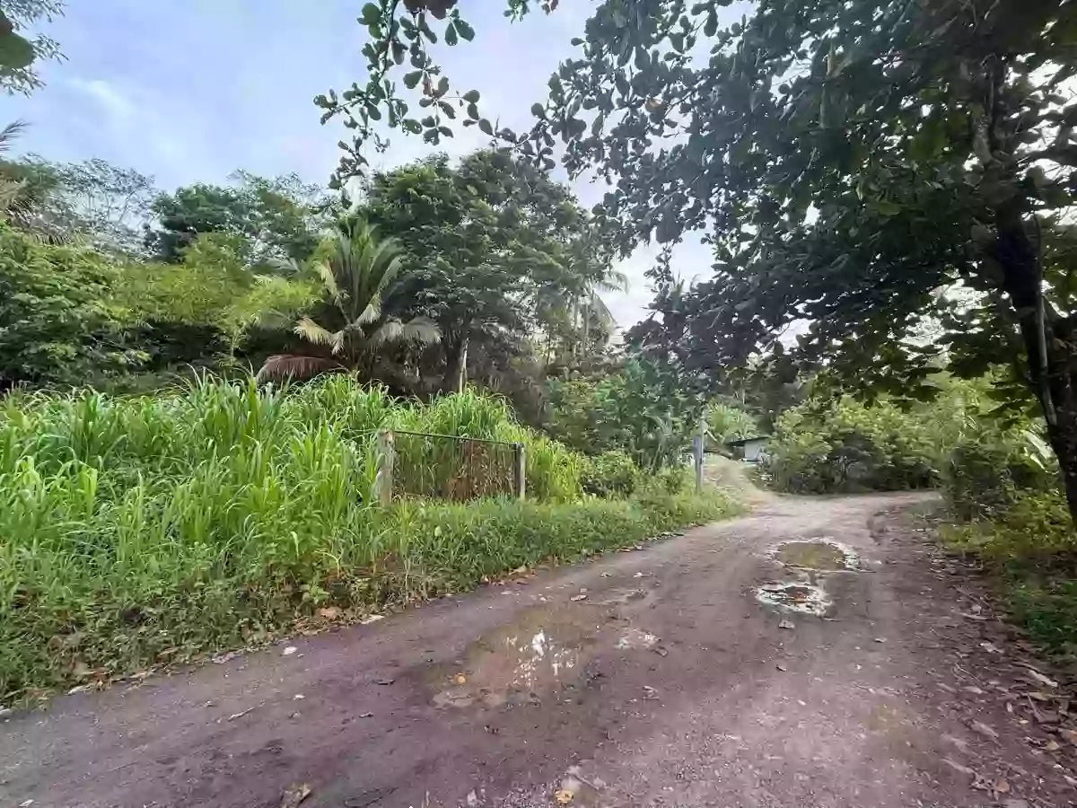 For Sale: Agricultural Lot in Poctoy, Surigao City — 15058 sqm — Agricultural Lot in Surigao City, Surigao del Norte, 8400 — Photo 4