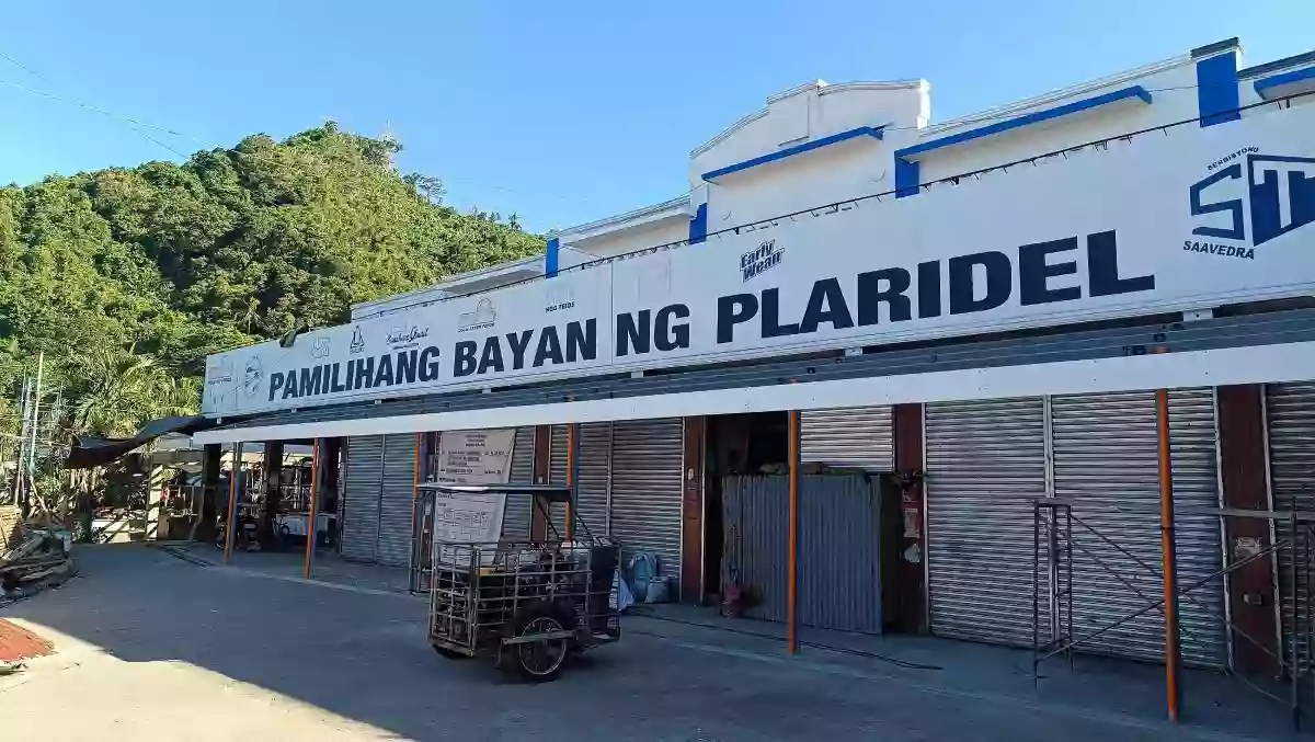 Rush Sale: 1077sqm Residential Lot, Central Pob. Plaridel Quezon Near Public Market and Maharlika Highway — Residential Lot in Central (Pob.), Plaridel, Quezon — Photo 4
