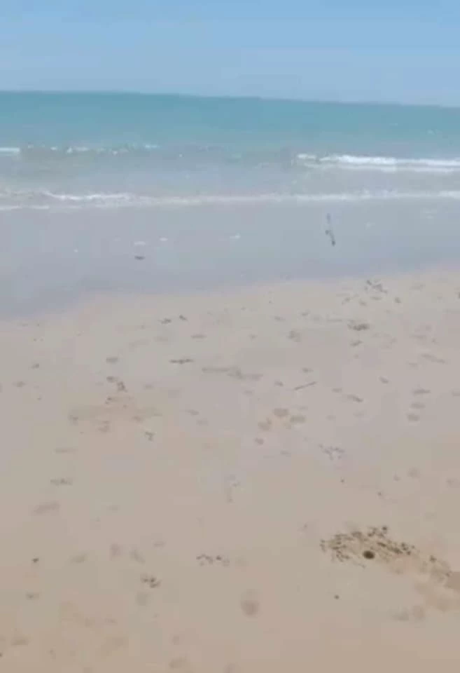 For Sale: Beach Lot in Salvacion, Roxas — 30,661 sqm — Beach Lot in Roxas, Palawan, 5308 — Photo 4