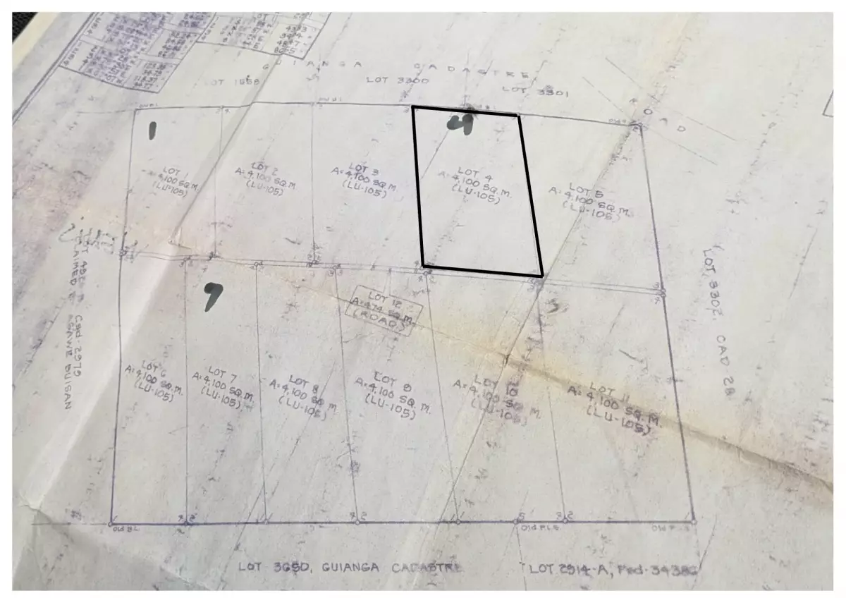 For Sale: Agricultural Lot in Wines, Davao City — 4,100 sqm — Agricultural Lot in Davao City, Davao del Sur, 8000 — Photo 5