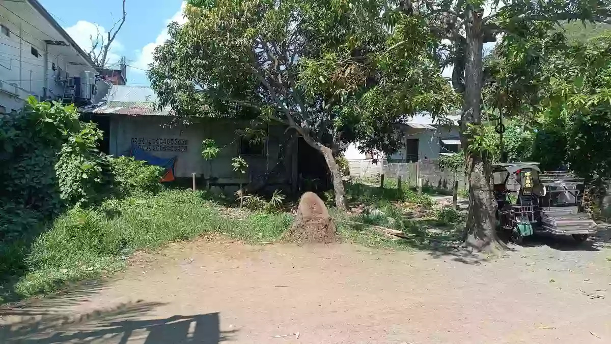 For Sale: Residential Lot in Panikihan, Gumaca — 200 sqm Clean Title — Residential Lot in Gumaca, Quezon, 4307 — Photo 5