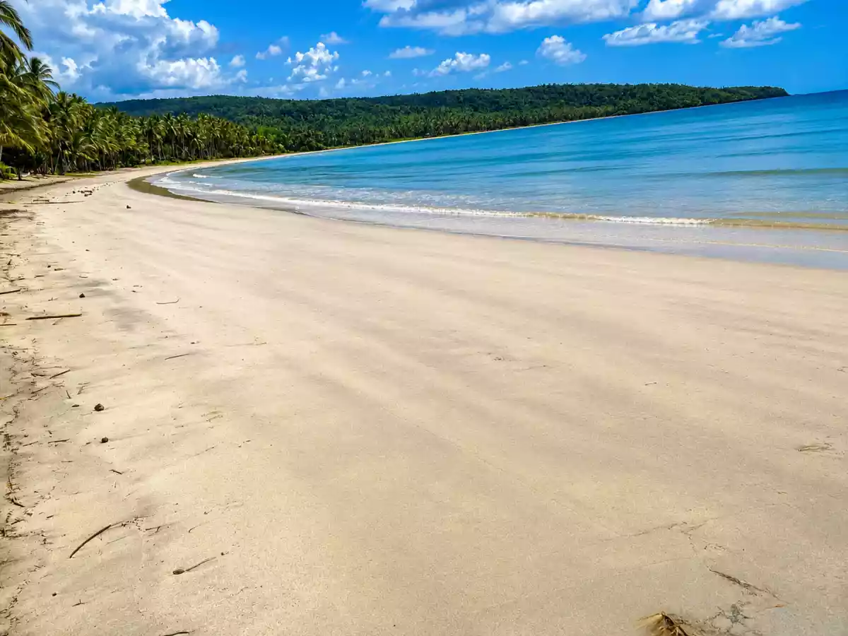 For Sale Beach Lot in Aporawan, Aborlan — 659 sqm — Beach Lot in Aborlan, Palawan, 5302 — Photo 2