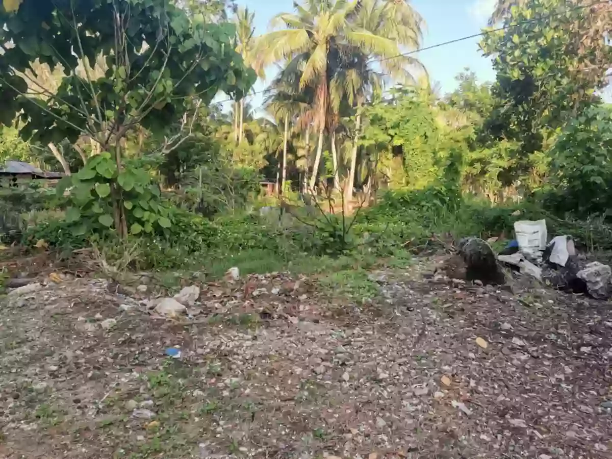 200 sqm Lot for Sale near UST, Ligaya, General Santos city — Residential Lot in General Santos City, South Cotabato, 9500 — Photo 3