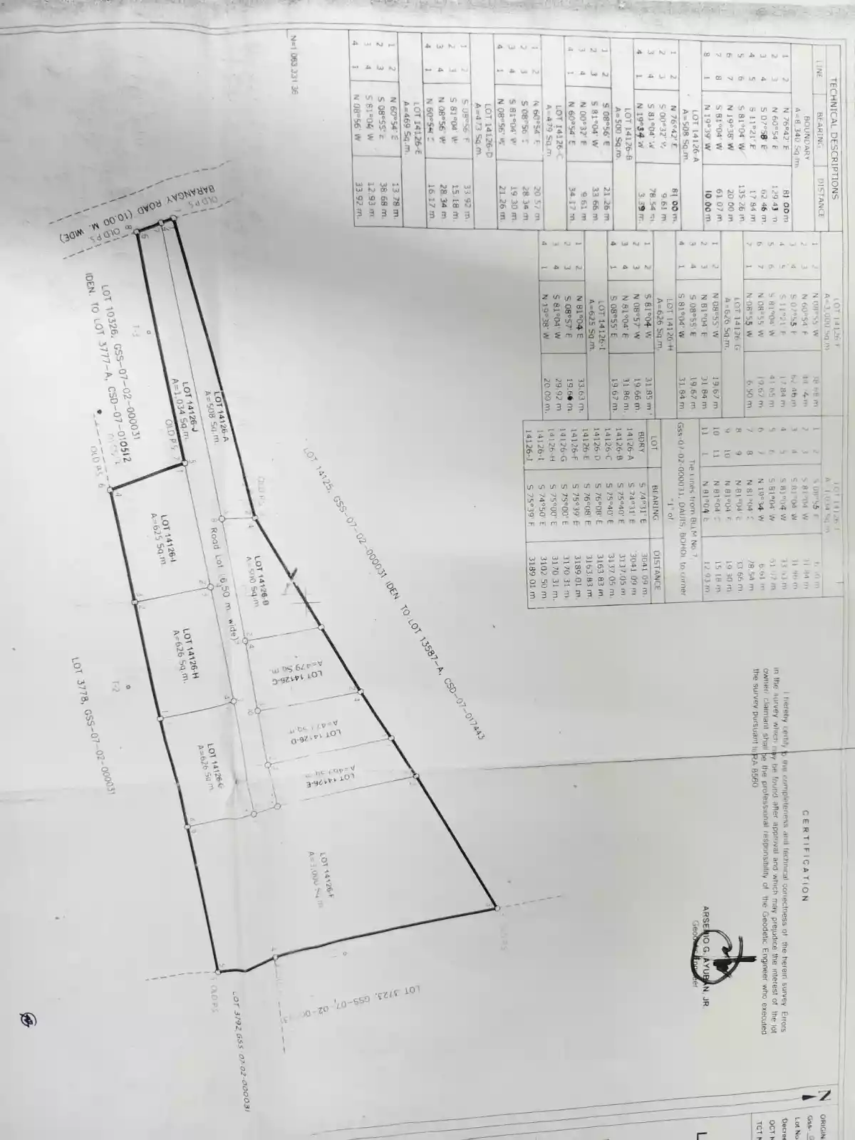 TINAGO RESIDENTIAL LOT - 14156-I — Residential Lot in Dauis, Bohol, 6339 — Photo 2