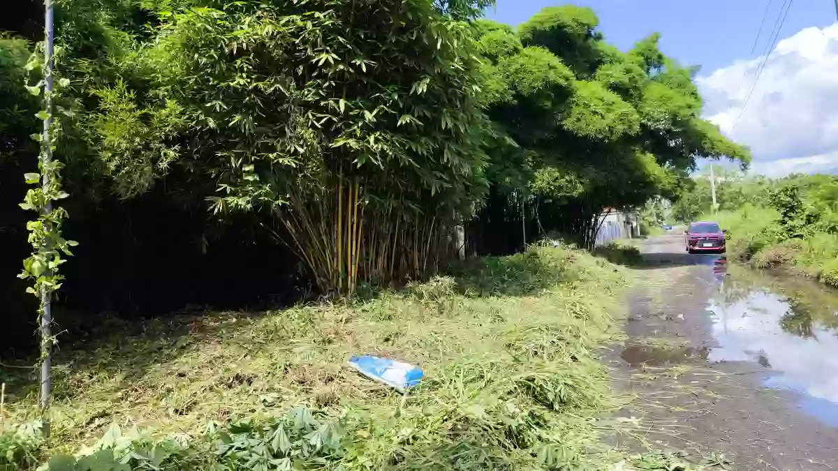 For Sale: Residential Lot in Silway 8, Polomolok, South Cotabato — 514 sqm