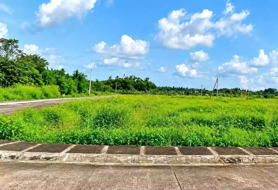 For Sale: Residential Lot in Pacol, Naga City — Investment Lot 10% down payment