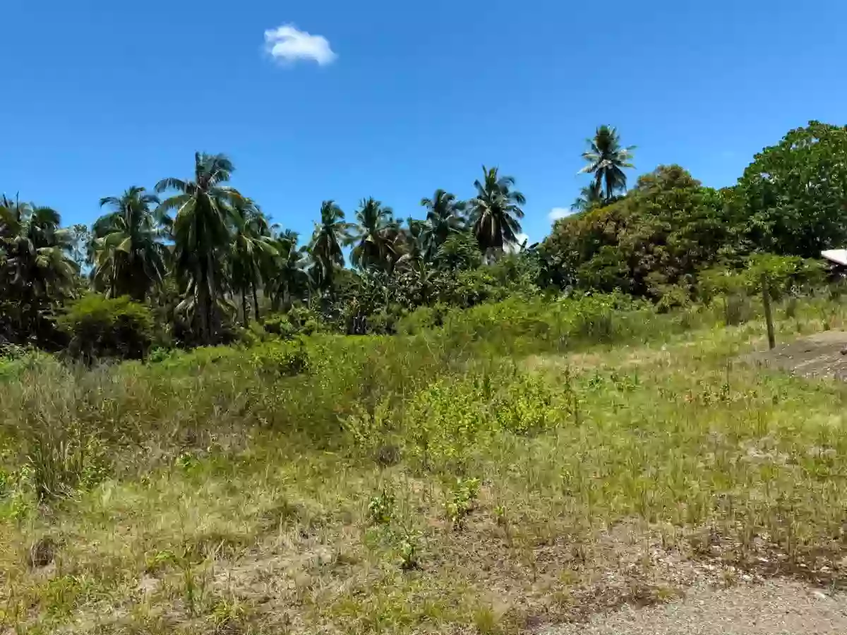 For Sale: Residential Lot in Tayaga, Claver — 2165 sqm — Residential Lot in Claver, Surigao del Norte, 8410 — Photo 2