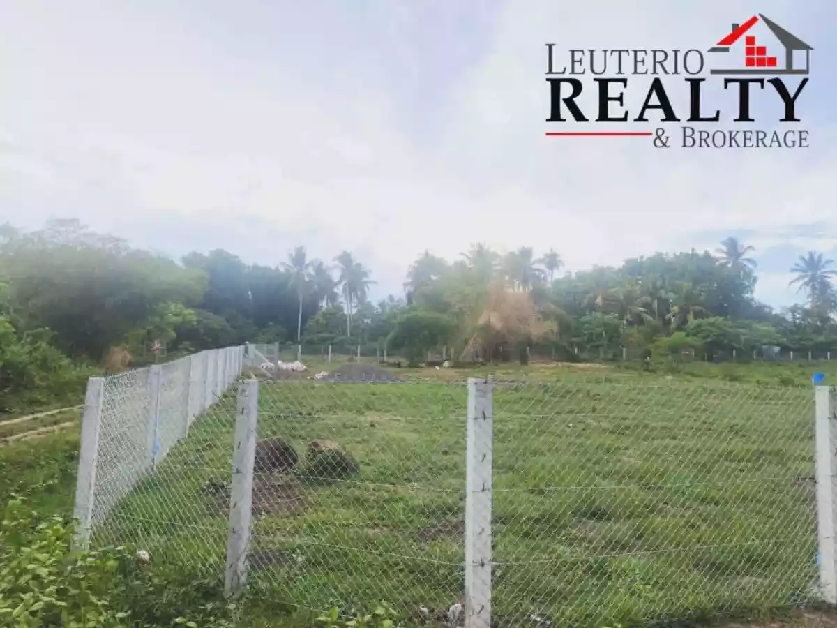 Raw land for sale in Pacol, Naga City - 4,000 sqm — Agricultural Lot in Naga City, Camarines Sur, 4400 — Photo 5