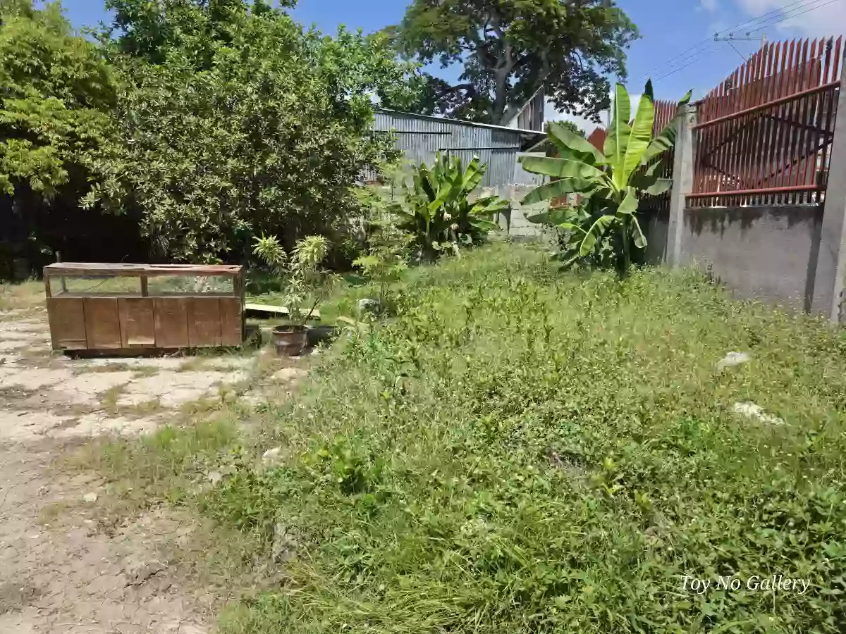 For Lease: 846 sqm Commercial Lot in Sangat, San Fernando Cebu — Commercial Lot in San Fernando, Cebu, 6018 — Photo 4