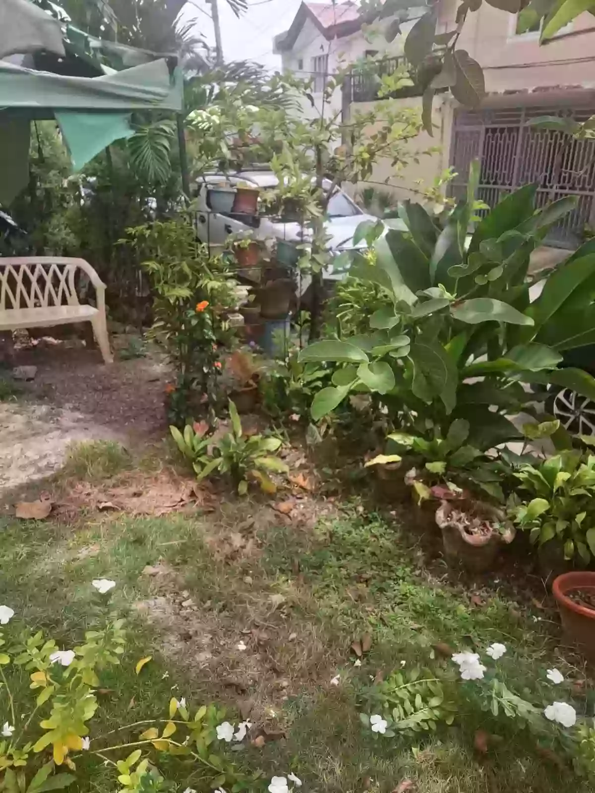 For Sale: 2BR Townhouse in Canito-an, Cagayan de Oro City — 80 sqm Lot — Townhouse in Forest View, Canito-an, Cagayan de Oro City — Photo 5