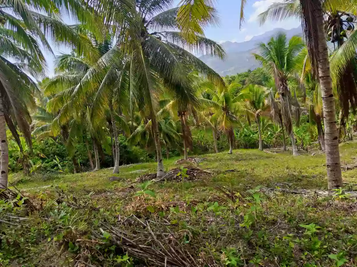 Farm lot for sale — Agricultural Lot in Alabel, Pag-Asa, Alabel — Photo 2