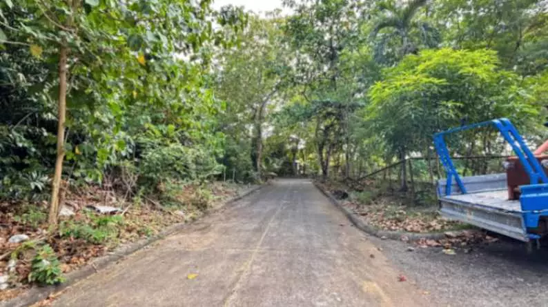 LOT FOR SALE IN PAJAC, LAPU-LAPU CITY! - photo 6