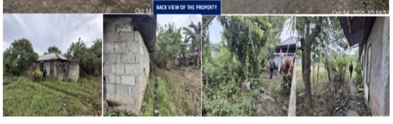Prime Agricultural Property for Sale in Ormoc City — Agricultural Lot in Kadaohan, Ormoc City, Leyte — Photo 4