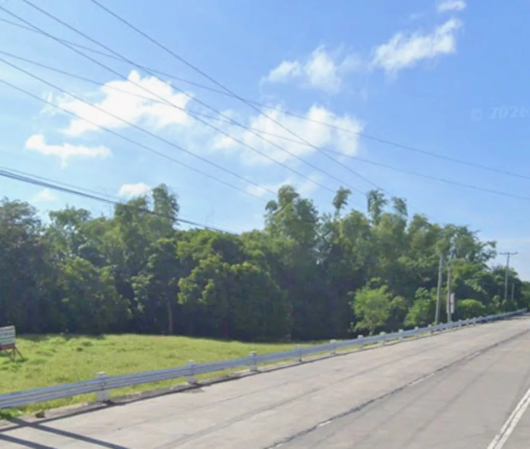 Industrial/Commercial Lot for Sale — Industrial Lot in Pili, Camarines Sur, 4418 — Photo 3
