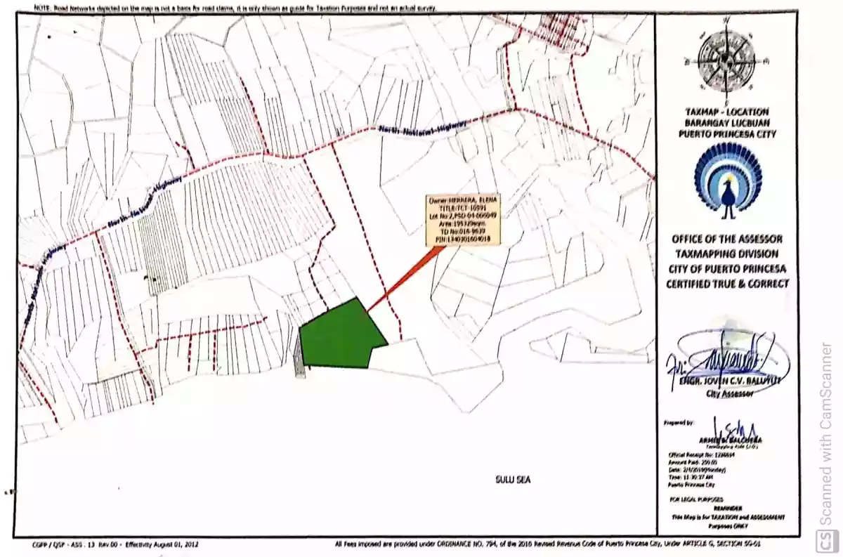 For Sale: Beach Lot in Lucbuan, Puerto Princesa City — 195329 sqm — Beach Lot in Puerto Princesa City, Palawan, 5300 — Photo 5