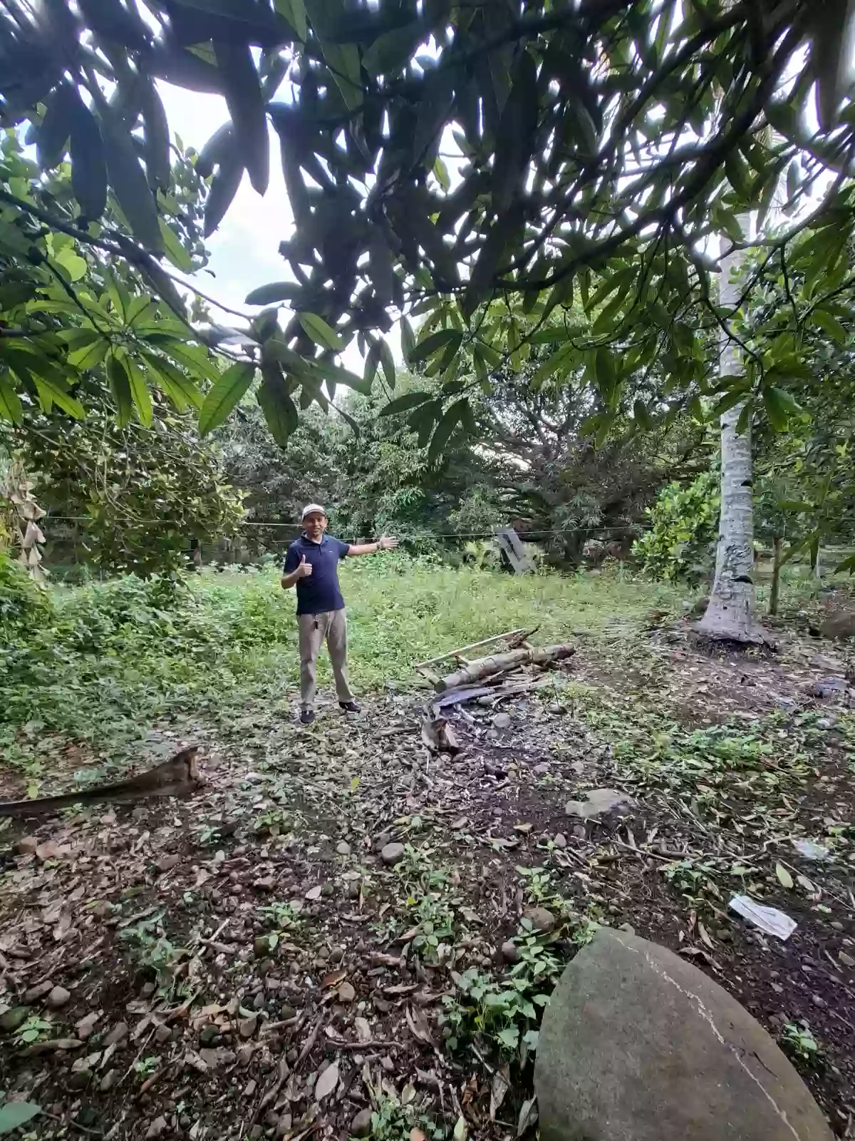 🌳 FOR SALE: 2,166 SQM Fruit-Bearing Lot along the Concrete Road in Indahag, CDO. FRE002 — Residential Lot in Cagayan de Oro City, Misamis Oriental, 9000 — Photo 3