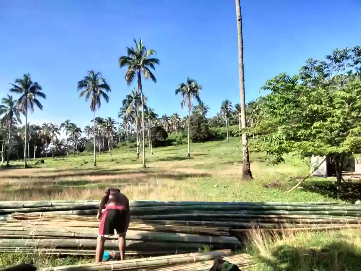 For Sale: Residential Lot Near Pagadian Doctors Specialist Hospital, Pagadian City — Residential Lot in Dao, Pagadian City, Zamboanga del Sur — Photo 2