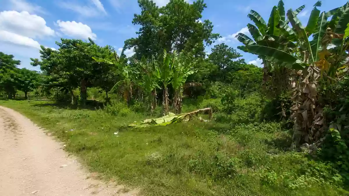 RESIDENTAIL LOT FOR SALE IN DUMAGUETE CITY — Residential Lot in Dumaguete City, Negros Oriental, 6200 — Photo 3