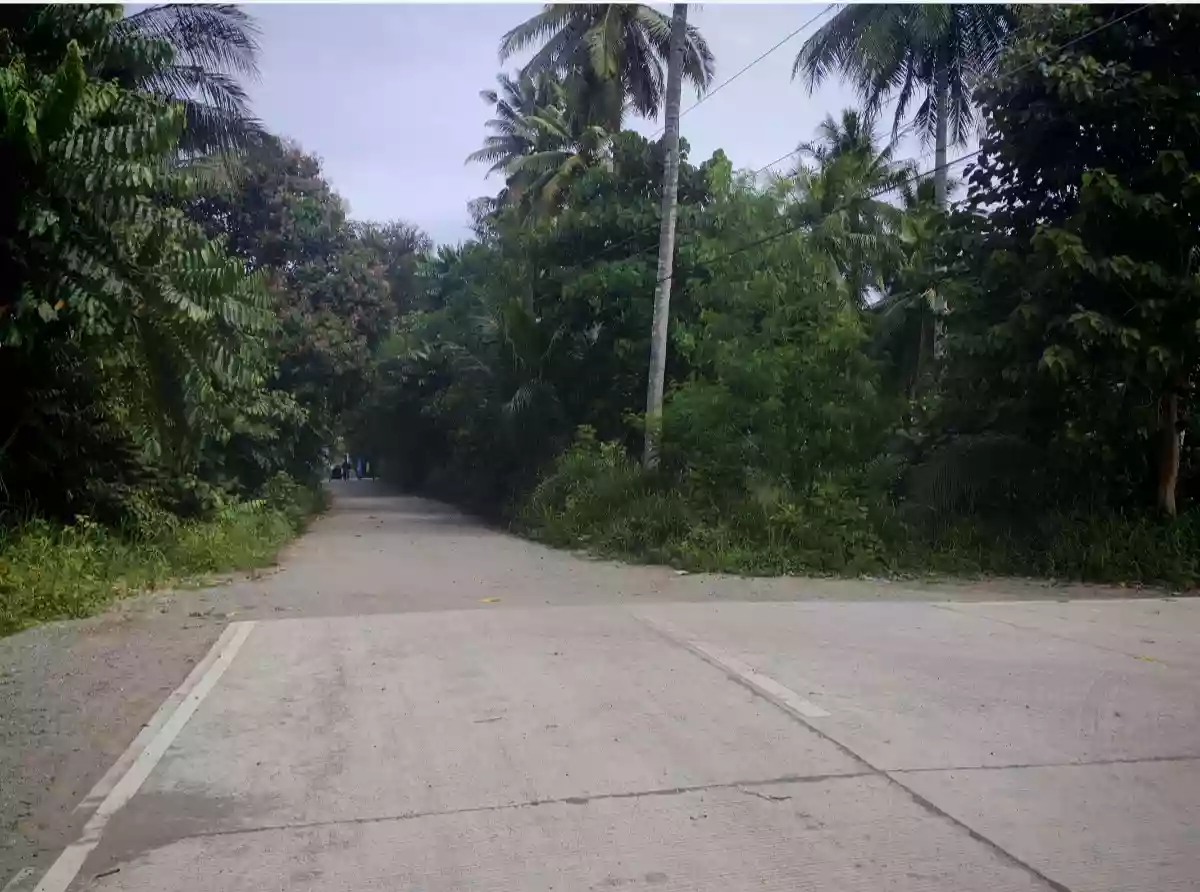 For Sale: Commercial Lot in Katangawan, Gen. Santos City 32000 sqm — Commercial Lot in Gen. Santos City, South Cotabato, 9500 — Photo 7