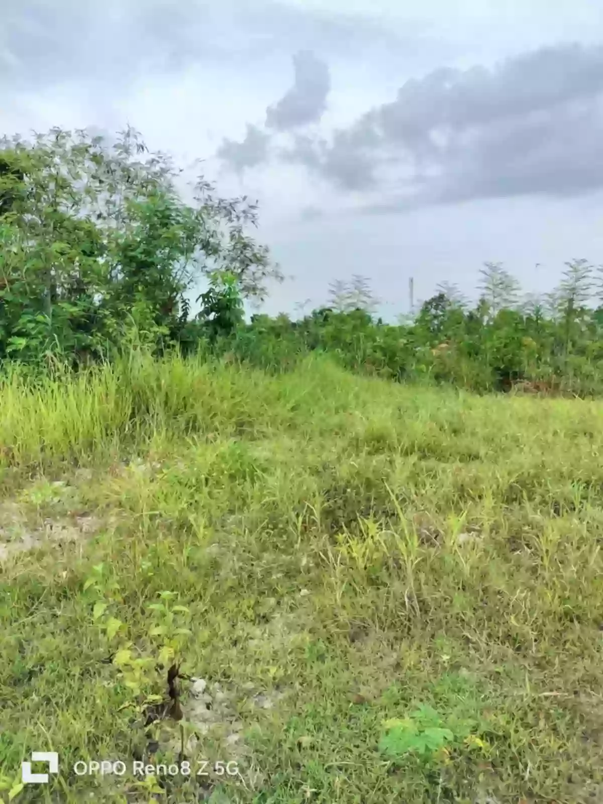 Lot For Sale in Liburon Carcar Cebu Visayas — Agricultural Lot in Carcar, Cebu, 6019 — Photo 4