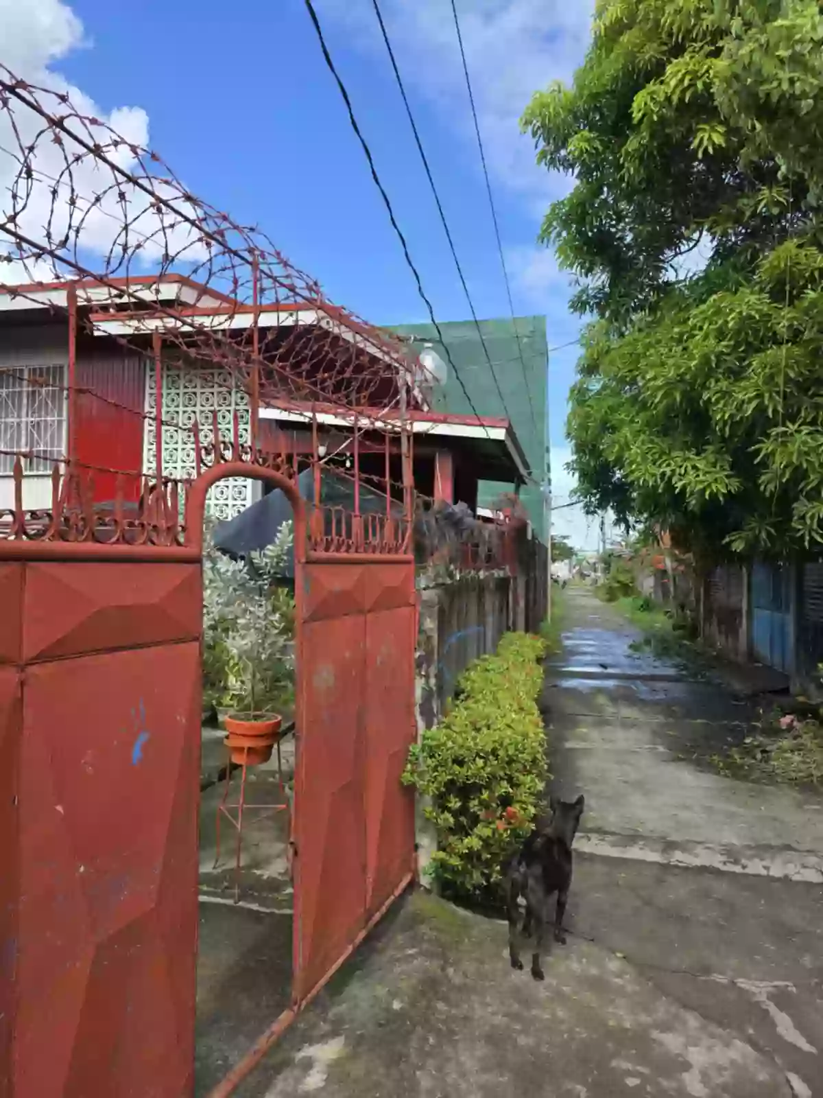 For Sale: 5BR House and Lot in Barangay 3 Pob. (Zone 3), Cadiz City — 581 sqm — House and Lot in Barangay 3 Pob. (Zone 3), Cadiz City, Negros Occidental — Photo 4