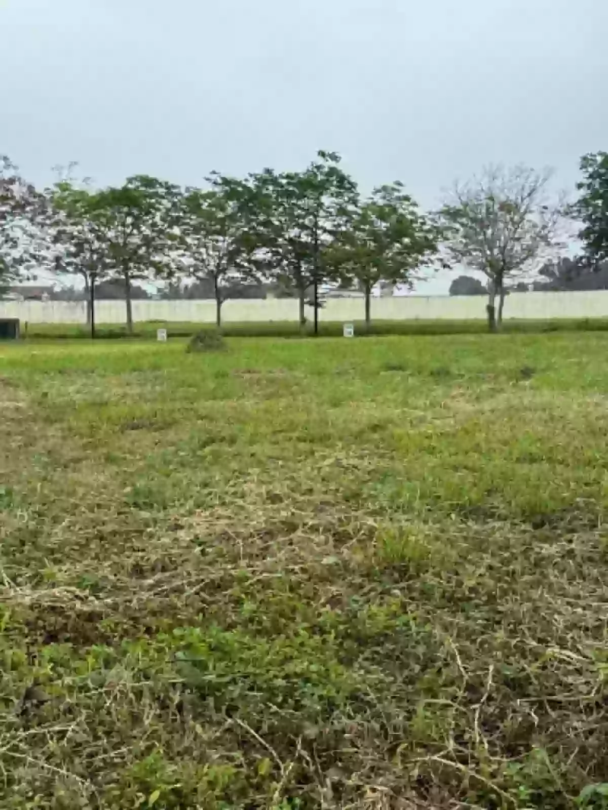 For Assume: Residential Lot in Barangay 15 (Pob.), Bacolod City — 450 sqm — Residential Lot in Barangay 15 (Pob.), Bacolod City, Negros Occidental — Photo 3