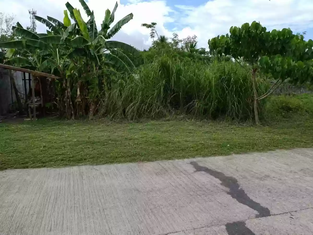 For Sale: Residential Lot in Cadlan, Pili, Camarines Sur — 216 sqm — Residential Lot in Pili, Camarines Sur, 4418 — Photo 5