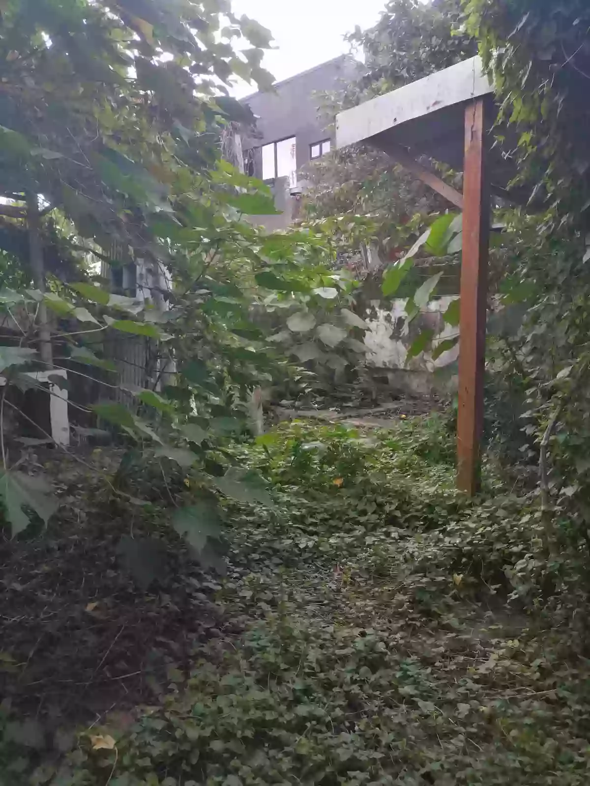 Residential Lot for Sale along City Center, District of Jaro, Iloilo City — Residential Lot in Iloilo City, Iloilo, 5000 — Photo 2