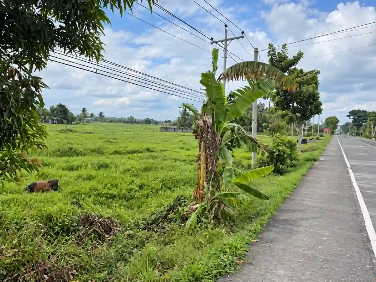 For Sale: Residential Lot 2,000 sqm in Himaao, Pili
