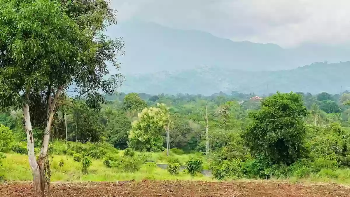 For Sale: 4BR House and Lot in Santa Monica, Puerto Princesa City — House and Lot in Puerto Princesa City, Palawan, 5300 — Photo 4