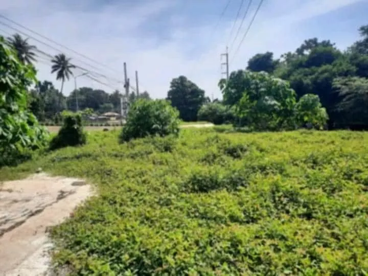 Commercial Lot for Sale Near Inawayan Elementary School, Santa Cruz — Highway Frontage — Commercial Lot in Inawayan, Santa Cruz, Davao del Sur — Photo 3