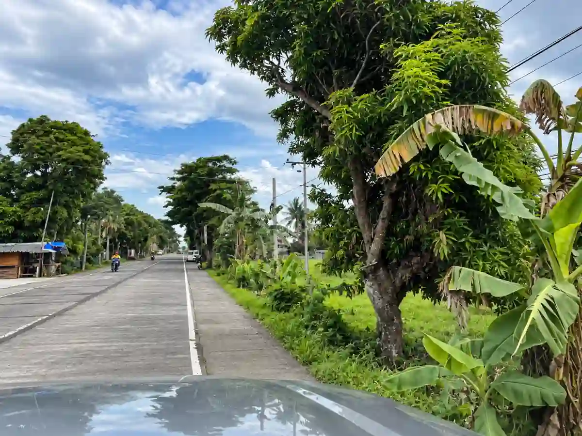 For Sale: Residential Lot 2,000 sqm in Himaao, Pili — Residential Lot in Pili, Camarines Sur, 4418 — Photo 4