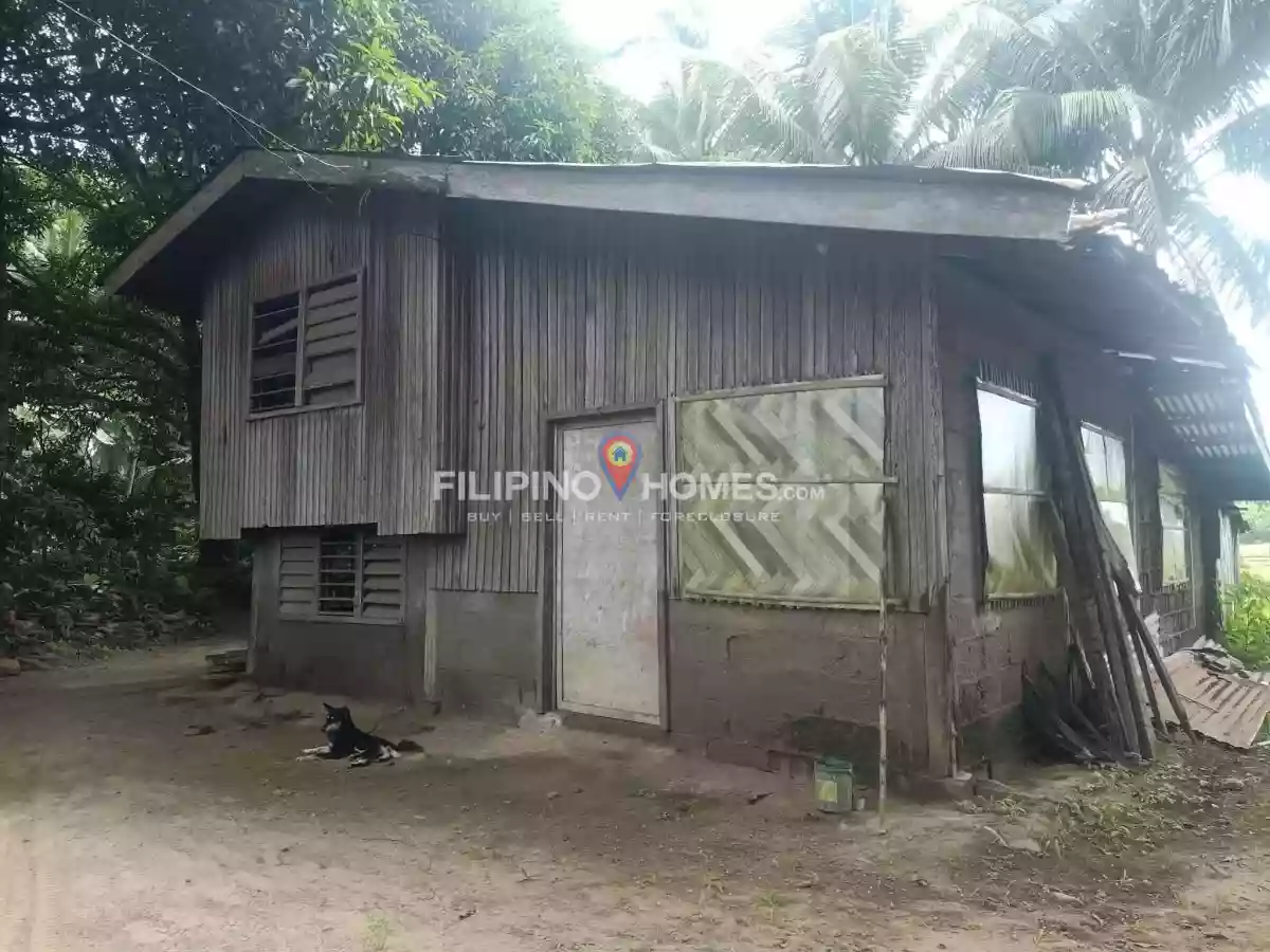 For Sale: Agricultural Lot in Sinawingan, Libungan — 15460 sqm — Agricultural Lot in Libungan, Cotabato, 9411 — Photo 3