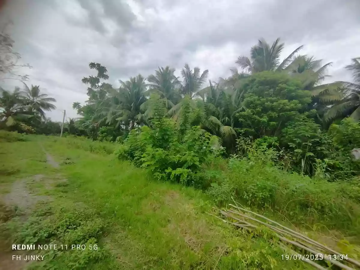 For Sale: Residential Lot in Ligaya, General Santos City — 488 sqm — Residential Lot in General Santos City, South Cotabato, 9500 — Photo 5