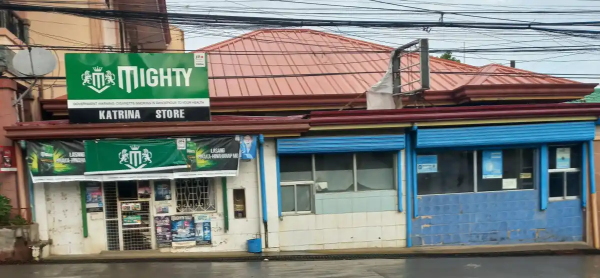 FOR SALE 4BR House and Lot in Linao, Talisay City — 254 sqm — House and Lot in Linao, Talisay City, Cebu — Photo 2