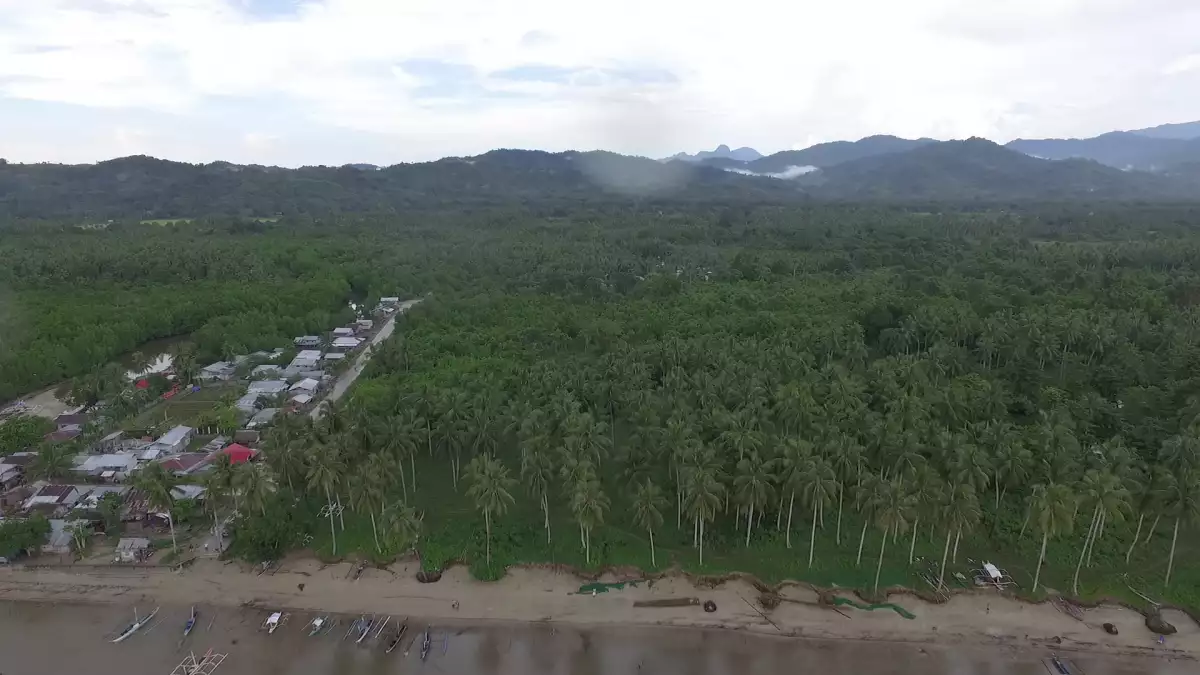 For Sale: Beach Lot in Lucbuan, Puerto Princesa City — 195329 sqm — Beach Lot in Puerto Princesa City, Palawan, 5300 — Photo 6