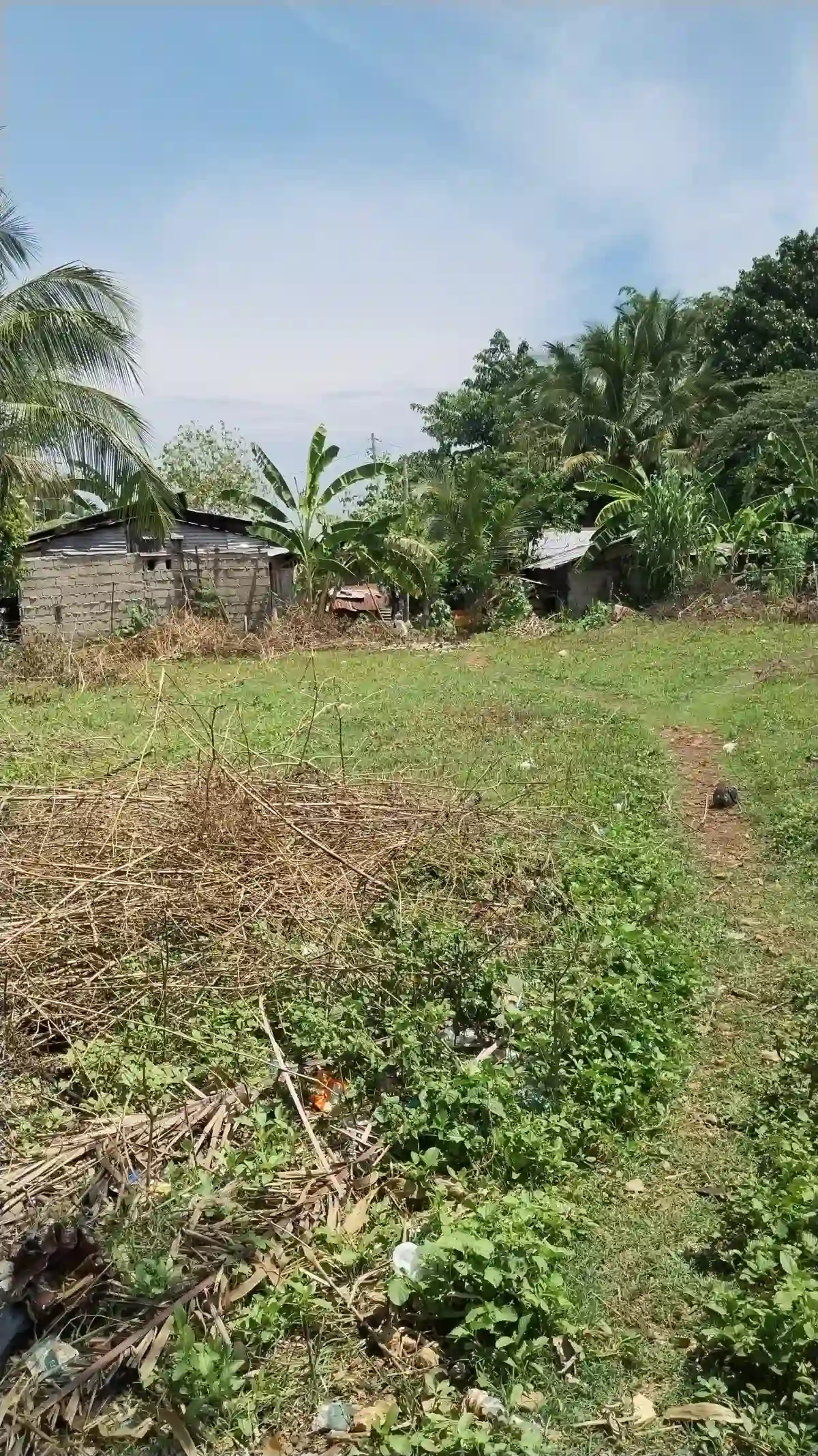 For Sale: Agricultural Lot Near Ulaliman Elementary School, El Salvador — 1000 sqm