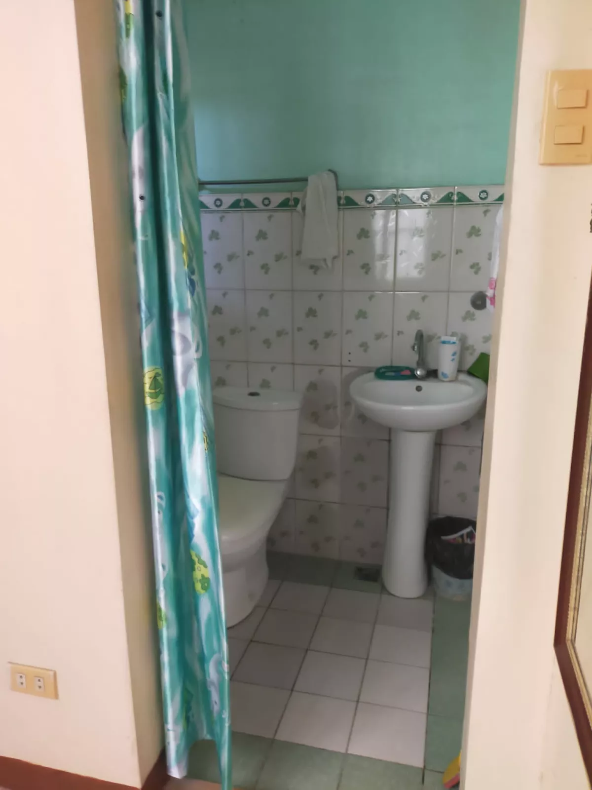 Open photo 16 of 18 — For Sale: 5BR House and Lot in San Pedro, Puerto Princesa City — 230 sqm